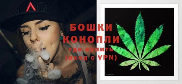 хмурый Вязьма