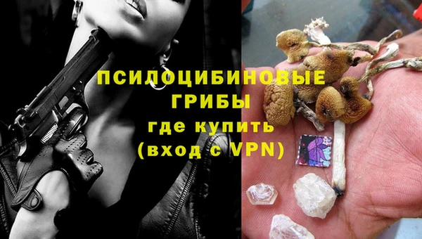 хмурый Вязьма