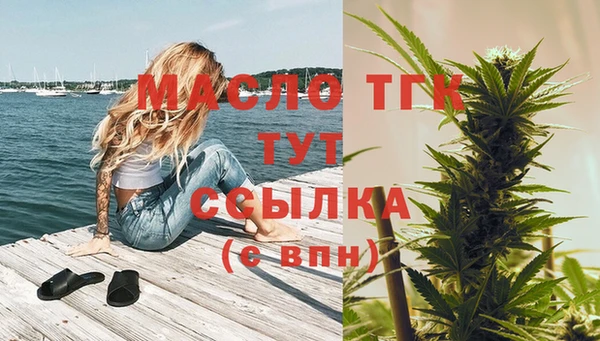 тгк Горняк